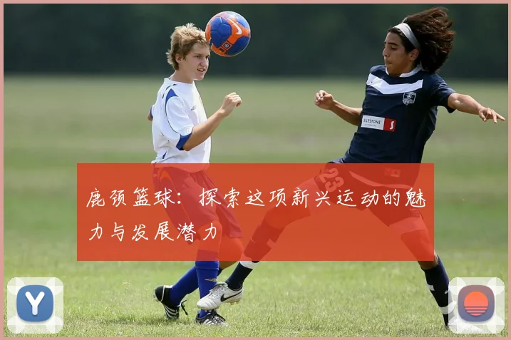 鹿颈篮球：探索这项新兴运动的魅力与发展潜力