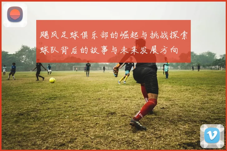 飓风足球俱乐部的崛起与挑战探索球队背后的故事与未来发展方向