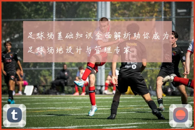 足球场基础知识全面解析助你成为足球场地设计与管理专家