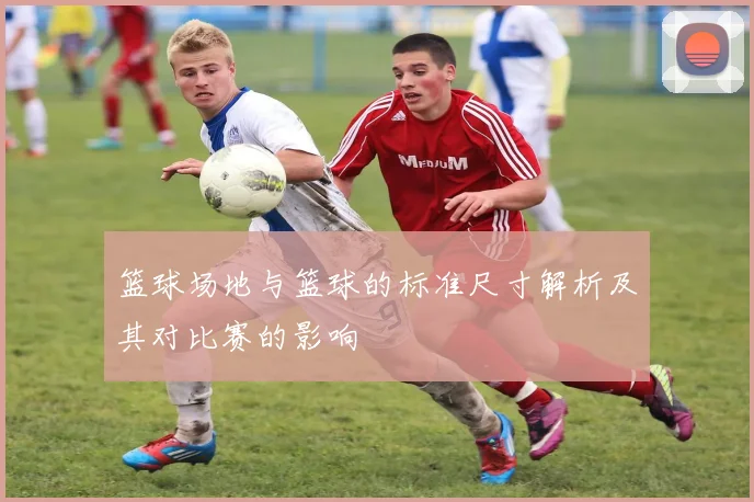 篮球场地与篮球的标准尺寸解析及其对比赛的影响